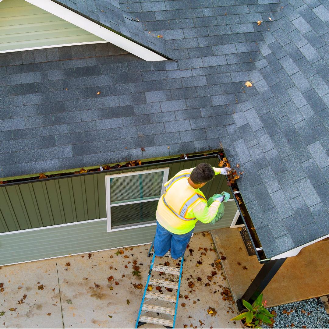 gutter-cleaning window-cleaning