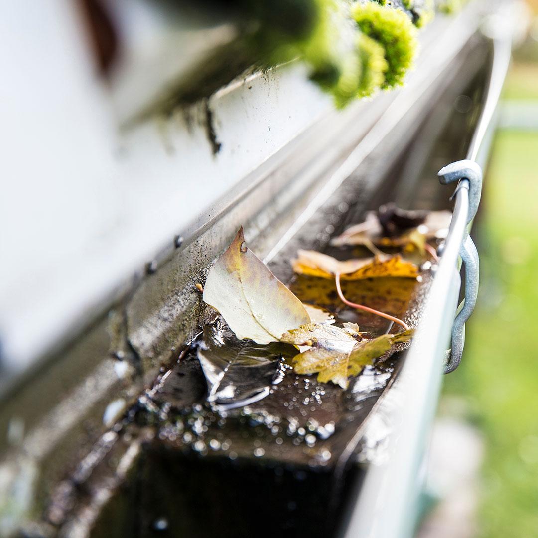 roof-cleaning-services_1 roof-cleaning