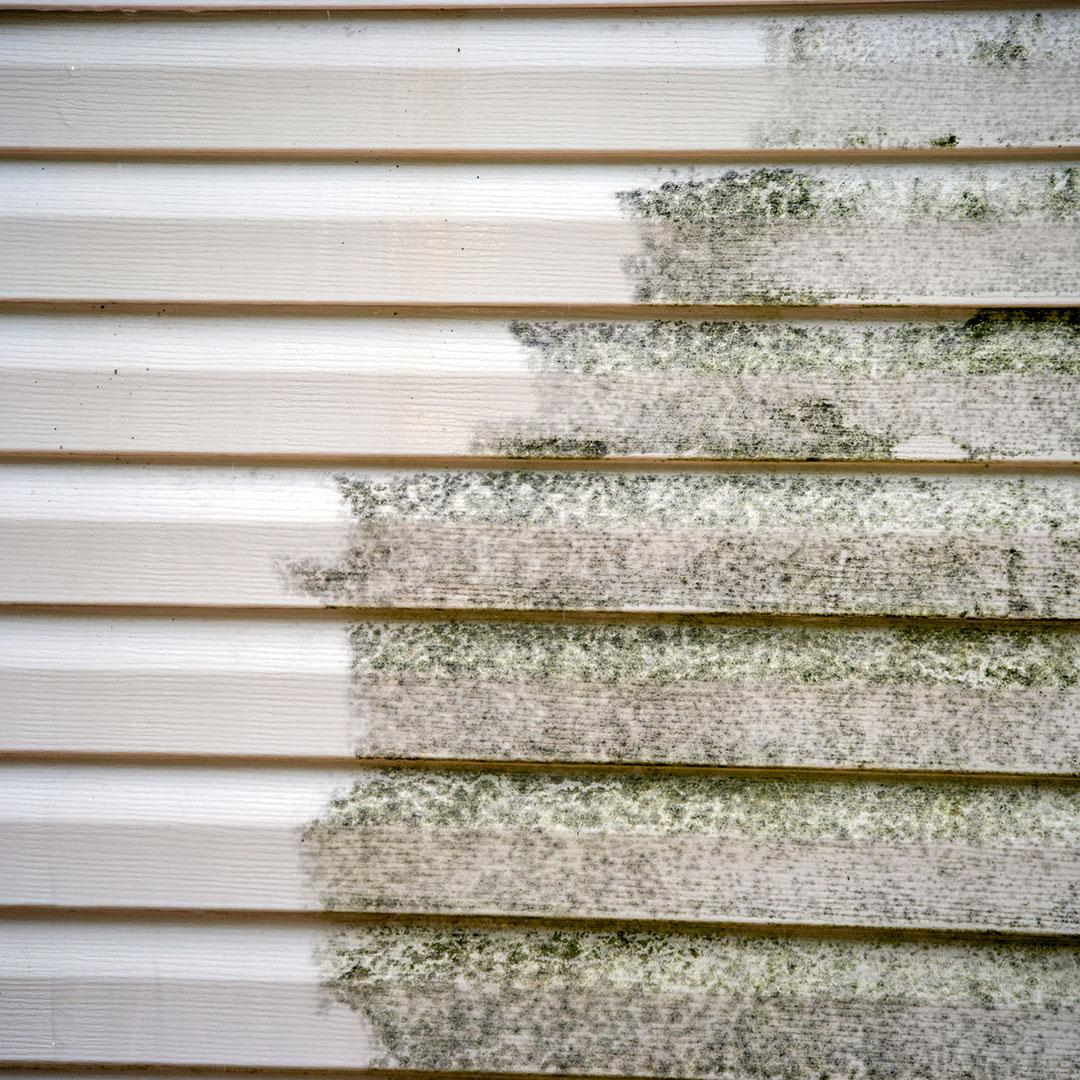 soft-washing-results soft-washing-walls
